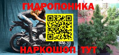 spice Можга