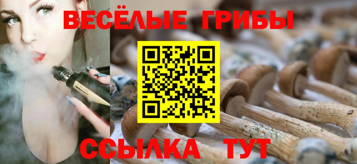 Галлюциногенные грибы ЛСД Рыбинск